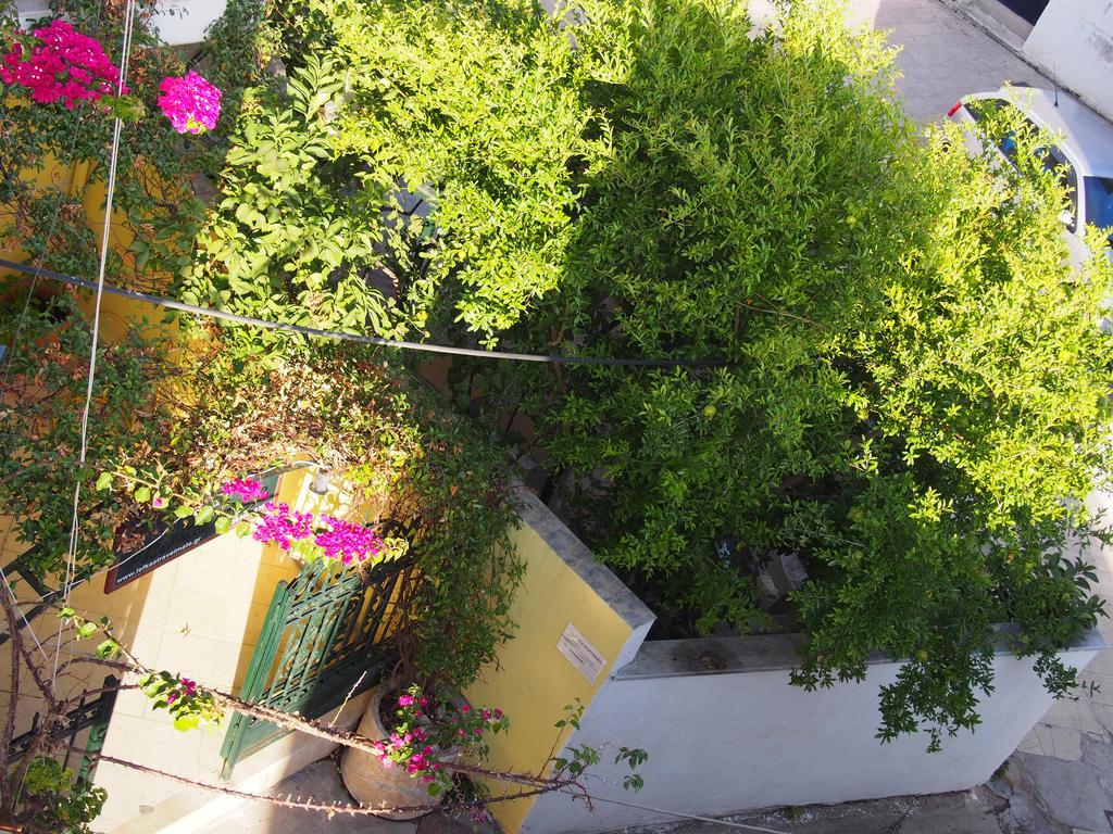 Prokimea Seaview Apartments Lefkáda المظهر الخارجي الصورة